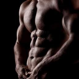 Body Building 1.0