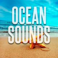 Relaxing Ocean Waves Sounds