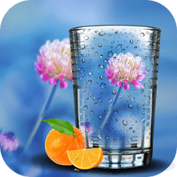 PIP Camera Studio icon