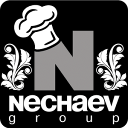 Nechaev Group icon