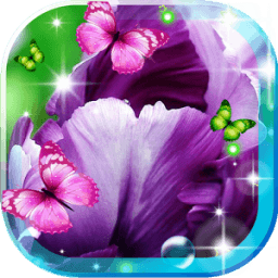 Ирис Музыка живые обои иконка