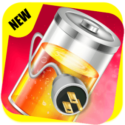 ikon Battery Fast Charger