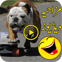 Funny Videos أيقونة