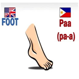 ikon English to Filipino Body Parts