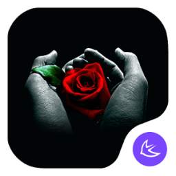 Rose in my eyes theme for APUS