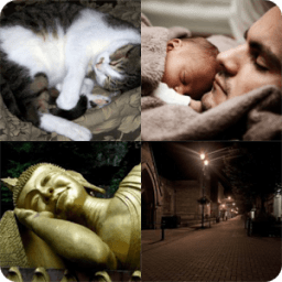 Four Photos One Word आइकन