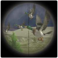 Jungle Birds Sniper Hunting