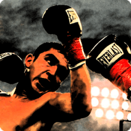 Clash of Fighters icon