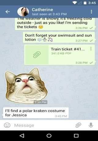 Telegram MSG screenshot 6
