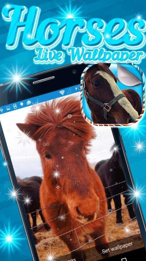 Horses Live Wallpaper screenshot 5