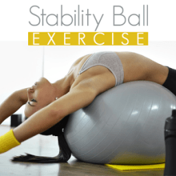 Stability Ball Exercise أيقونة