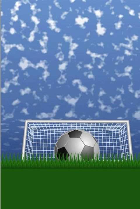 Soccer Mejenga Bird screenshot 1