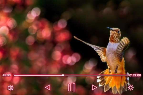 All Video Player скриншот 2