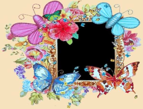 Photo Frames Butterfly screenshot 1