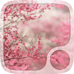 ikon Spring Butterflies Wallpaper