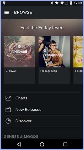 Spotify player screenshot 1