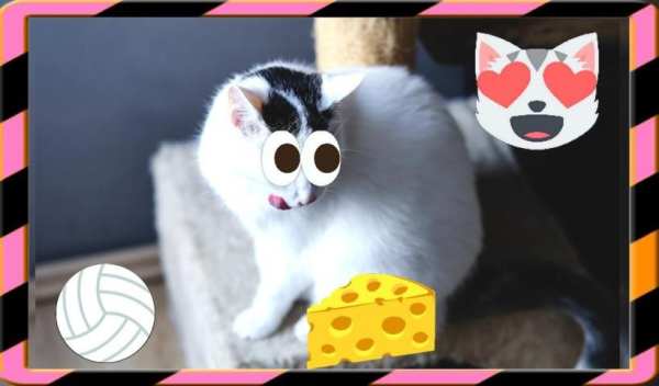 Emoji Photo Editor Pro 2 скриншот 2