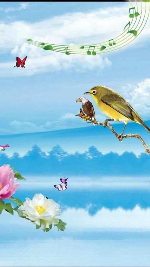 Birds & Flowers Live Wallpaper screenshot 3