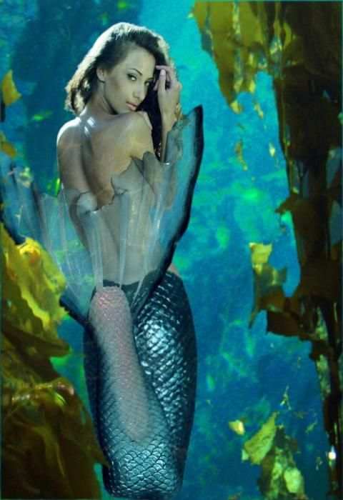 Mermaid Wallpapers screenshot 3