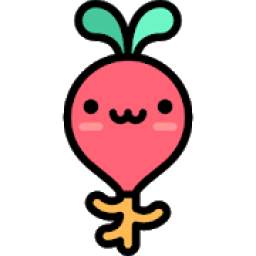 Radish Camera 2020 3