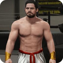 Fight with WWE Champion आइकन