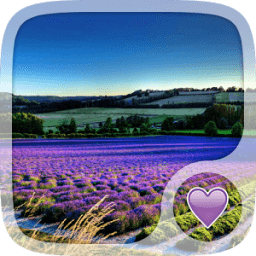 Purple Lavander Wallpaper icon