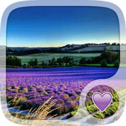 Wallpaper Manager 1.0