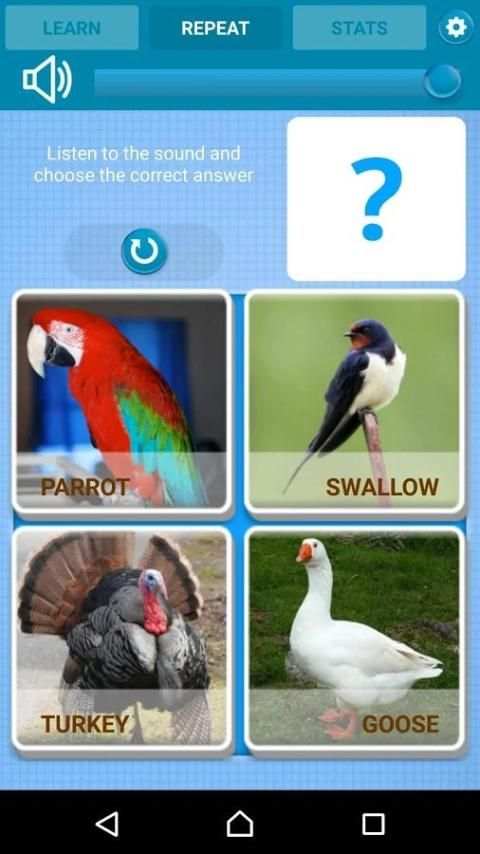 Birds Sounds for Kids screenshot 4