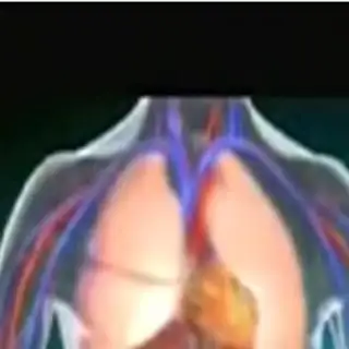 PlantApps screenshot 4