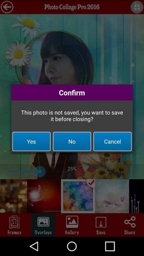 Photo Collage Pro 2016 screenshot 3