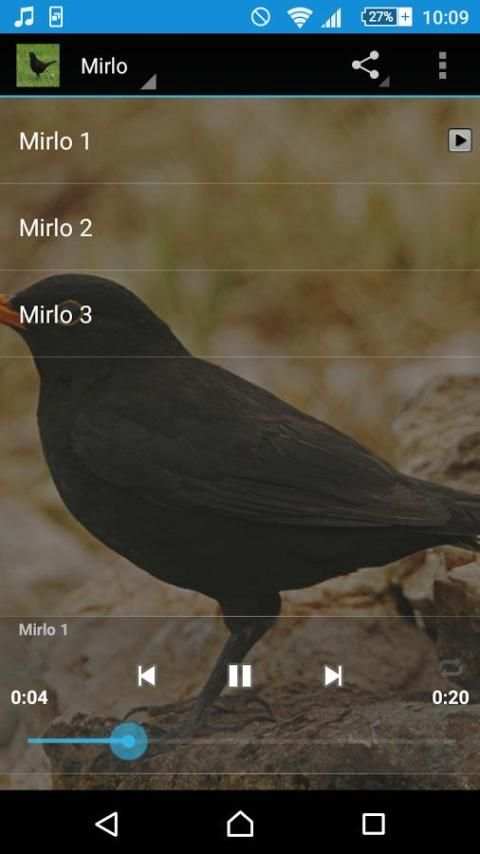 Canto del mirlo screenshot 3