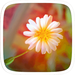 Single Flower Theme icon
