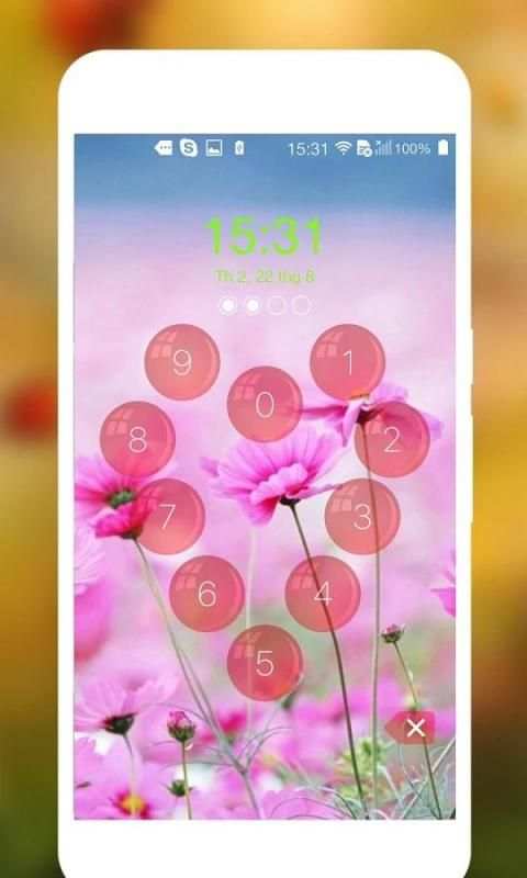 lock screen keypad screenshot 3