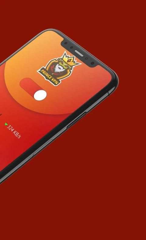 PRINCE VPN screenshot 5