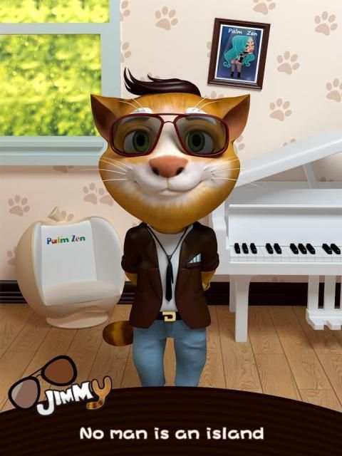 Talking Jimmy Cat:Not Tom Cat screenshot 4
