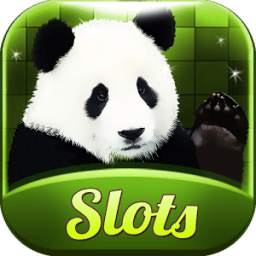 Panda Slots - Free Slot Casino