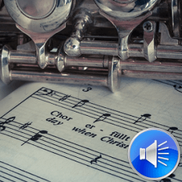 Lovely Flute Sounds Ringtones icon