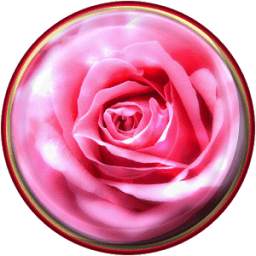 Rose Live Wallpaper