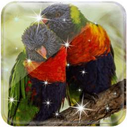 Birds Live Wallpaper 1.0