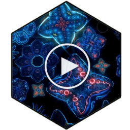 ikon Flowers 3D Video Wallpaper