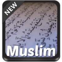Muslim Theme