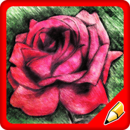 How to Draw a Rose Flower icon