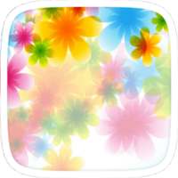 Colourful Flowers Theme