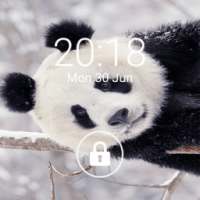 Snow Panda on 9Apps