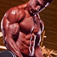 Weight Training & Bodybuilding