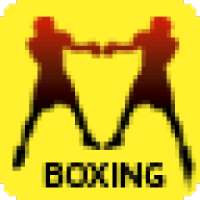 FightTime Boxing Pool on 9Apps