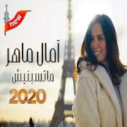 majid 1.0