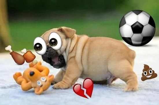 Emoji Photo Sticker Maker Pro скриншот 9