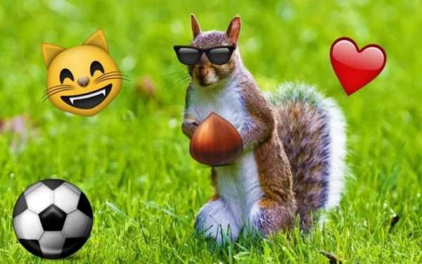 Emoji Photo Sticker Maker Pro 6 تصوير الشاشة