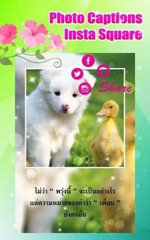 Photo Captions - Insta Square 2 تصوير الشاشة